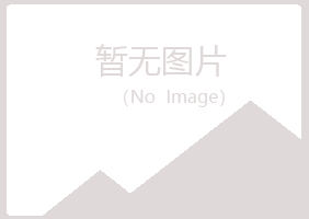 铁岭冰夏采矿有限公司